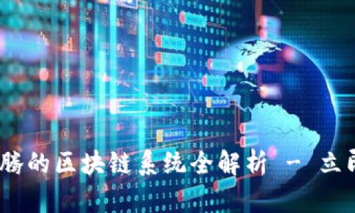 2025必看：马化腾的区块链系统全解析 - 立即了解最新动态！