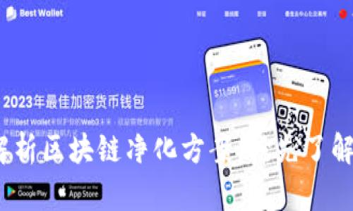 2025必看：全方位解析区块链净化方案，抢先了解行业未来发展现状！