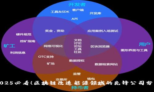 2025必看！区块链改造能源领域的先锋公司分析