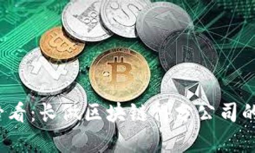 2023年必看：长做区块链得分公司的全面分析