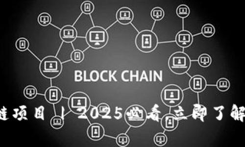 波士顿区块链项目 | 2025必看，立即了解最前沿科技！