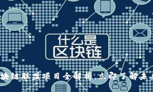 2025必看：区块链联盟项目全解析，立即了解未来的科技趋势！