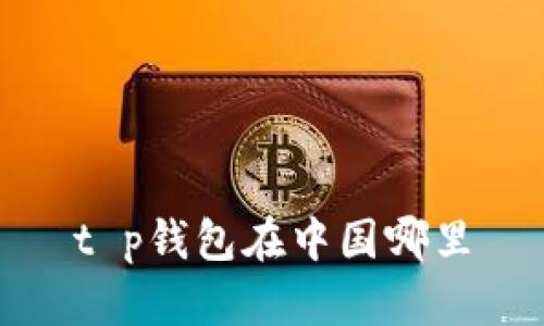 t p钱包在中国哪里