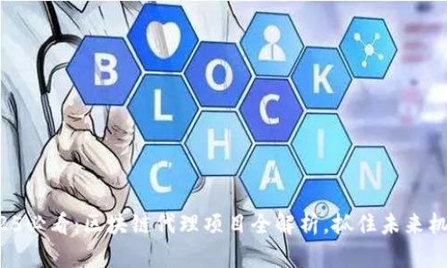 2025必看：区块链代理项目全解析，抓住未来机遇！