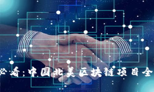 2025必看：中国北美区块链项目全面解析