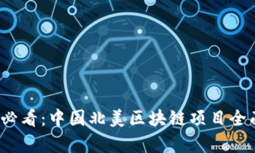 2025必看：中国北美区块链项目全面解析