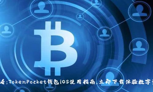 2025必看：TokenPocket钱包iOS使用指南，立即下载体验数字资产管理