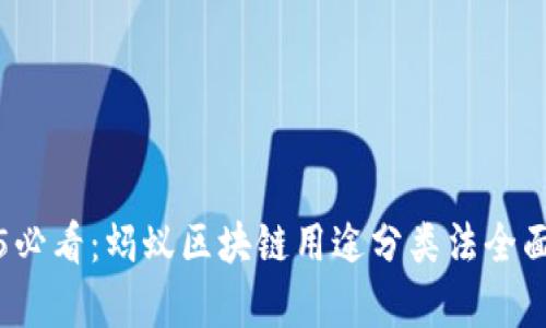 2025必看：蚂蚁区块链用途分类法全面解析