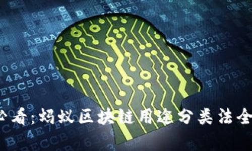 2025必看：蚂蚁区块链用途分类法全面解析