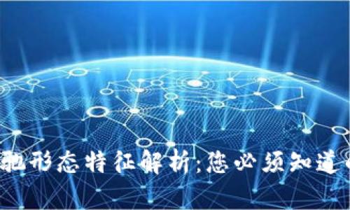 区块链技术的背驰形态特征解析：您必须知道的2025必看内容
