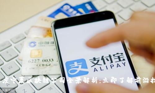 2023年度宁夏区块链公司全景解析：立即了解前沿技术动态