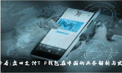 2025必看：盘口支付T P钱包在中国的业务解析与发展潜力