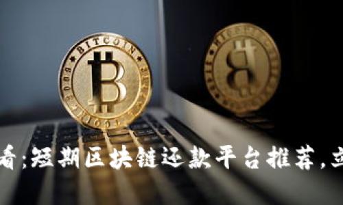 2025必看：短期区块链还款平台推荐，立即了解！