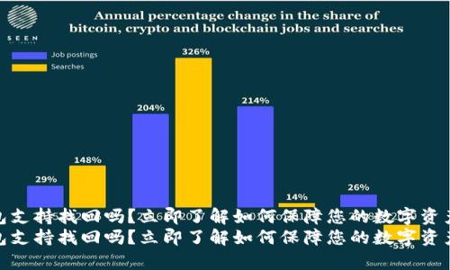 tp钱包支持找回吗？立即了解如何保障您的数字资产安全
tp钱包支持找回吗？立即了解如何保障您的数字资产安全