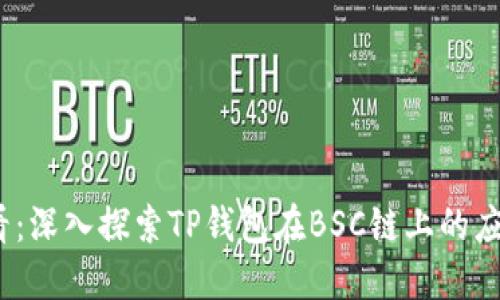 2025必看：深入探索TP钱包在BSC链上的应用与优势