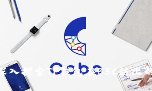 2025必看：深入探索TP钱包在BSC链上的应用与优势