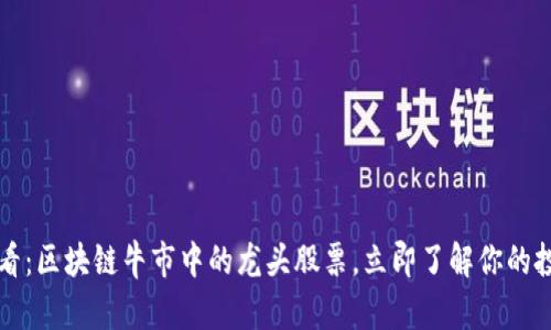 2025必看：区块链牛市中的龙头股票，立即了解你的投资机会！