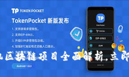 2025必看：矿机区块链项目全面解析，立即了解未来机遇！