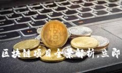 2025必看：政府的区块链项目全景解析，立即了解