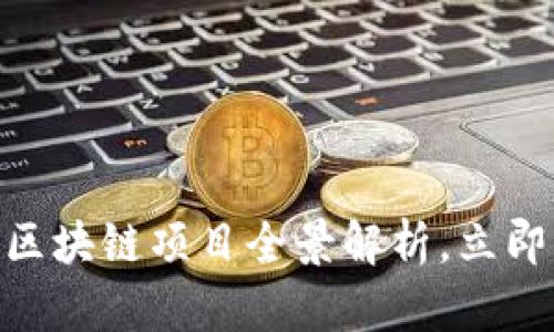 2025必看：政府的区块链项目全景解析，立即了解行业最新动态