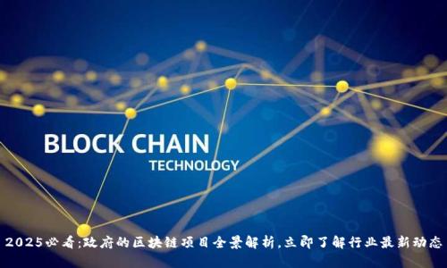 2025必看：政府的区块链项目全景解析，立即了解行业最新动态
