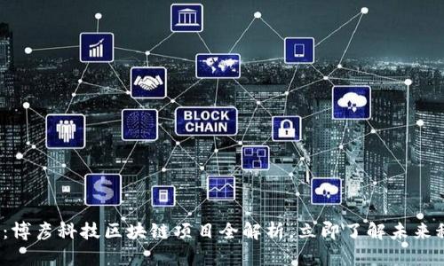 2025必看：博彦科技区块链项目全解析，立即了解未来科技的脉搏