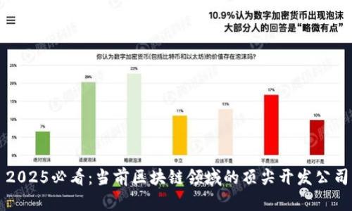 2025必看：当前区块链领域的顶尖开发公司