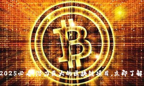 2025必看：潜力巨大的区块链项目，立即了解！