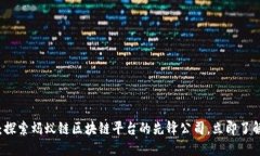 2025必看：探索蚂蚁链区块链平台的先锋公司，立