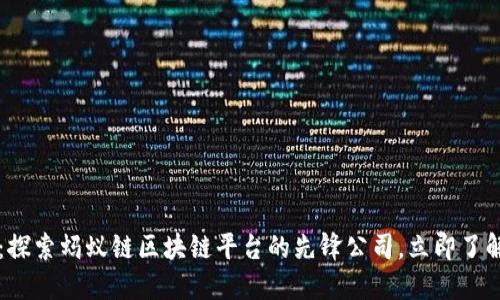 2025必看：探索蚂蚁链区块链平台的先锋公司，立即了解最新动态!