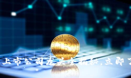 2025必看：区块链上市公司龙头全揭秘，立即了解未来投资机会！