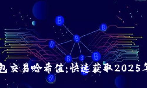 立即查询TP钱包交易哈希值：快速获取2025年最佳使用指南