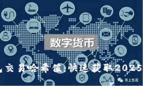 立即查询TP钱包交易哈希值：快速获取2025年最佳使用指南