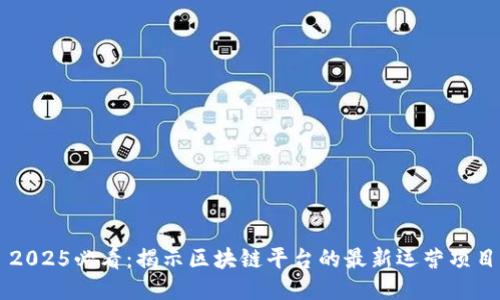 2025必看：揭示区块链平台的最新运营项目
