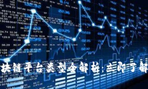 2023年司法区块链平台类型全解析：立即了解未来司法革新！