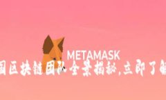 2025必看：我国区块链团队全景揭秘，立即了解行