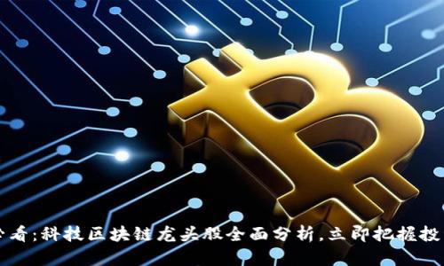 2025必看：科技区块链龙头股全面分析，立即把握投资机会！