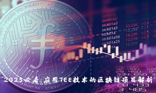 2025必看：应用TEE技术的区块链项目解析