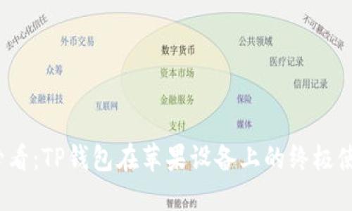 2025必看：TP钱包在苹果设备上的终极使用指南
