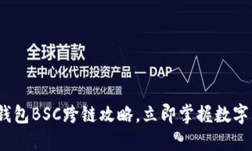 2025必看：TP钱包BSC跨链攻略，立即掌握数字资产自由流动！