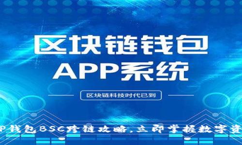 2025必看：TP钱包BSC跨链攻略，立即掌握数字资产自由流动！