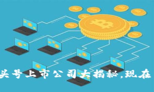 思考的优质

2025必看：区块链头号上市公司大揭秘，现在了解未来投资机会！