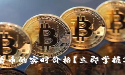 如何在TP钱包中查看币的实时价格？立即掌握2025年投资新趋势！