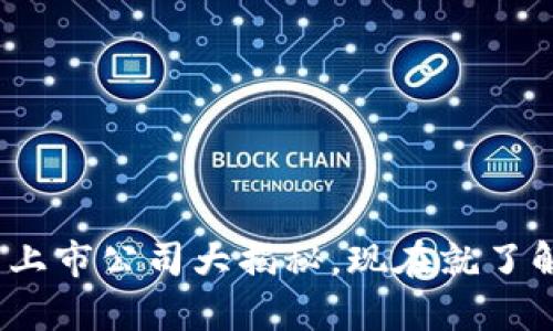 2025必看：区块链众筹上市公司大揭秘，现在就了解潜力巨大的这些项目！