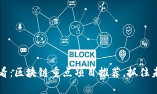 2025必看：区块链重点项目推荐，抓住未来机遇！