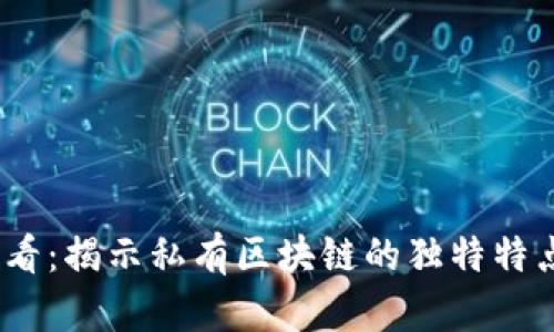 2025必看：揭示私有区块链的独特特点与优势