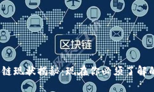 2023年区块链现状揭秘：现在你必须了解的趋势与挑战