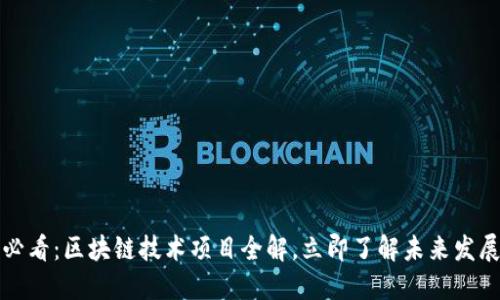 2025必看：区块链技术项目全解，立即了解未来发展趋势！