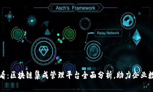 2025必看：区块链集成管理平台全面分析，助力企业数字转型！