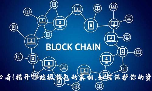 2025必看！揭开TP垃圾钱包的真相，如何保护你的资产安全
